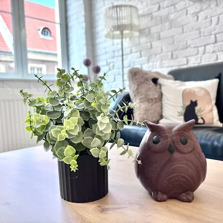 White Glove Sowa Old Town 公寓 奥尔什丁